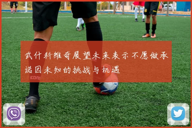 武什科维奇展望未来表示不愿做承诺因未知的挑战与机遇